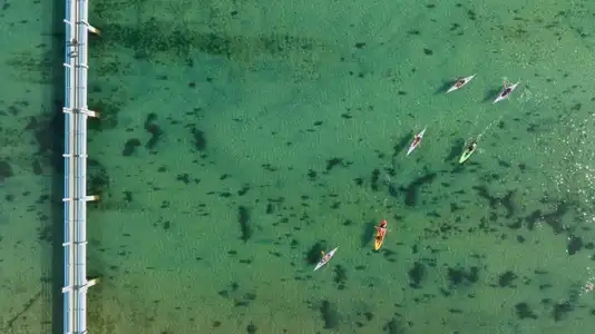 Kayaks de mer près d'une passerelle