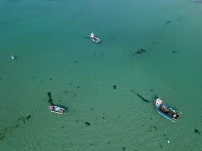Bateaux de pêche vus du ciel à Trémazan