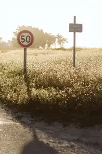 Panneaux de signalisation au bord d'une dune