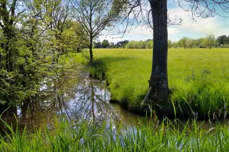Un canal au marais Jean-Jacques Audubon à Couëron