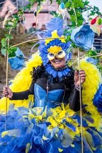 la Bretagne est festive au carnaval des gras à Douarnenez