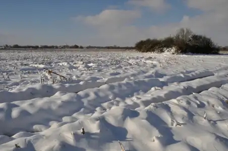 La campagne sous la neige