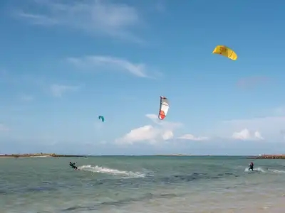 groupe de kite surfer avec leurs voiles