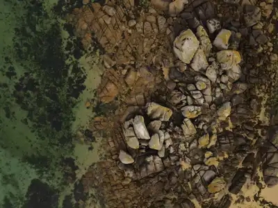 Vue aérienne de rochers à marée basse
