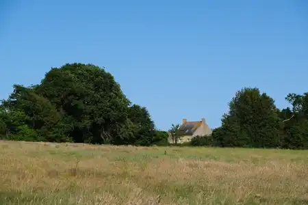Maison traditionnelle bretonne dans un champs