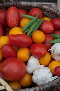 Tomates et légumes du jardin