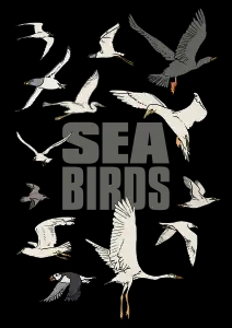 Oiseaux marins en illustrations, SEA BIRDS (Vectoriel)