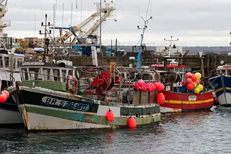 bateaux de pêche amarré au port de pêche de Brest