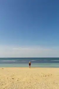 Femme seule se dirigeant vers l'océan pour la baignade