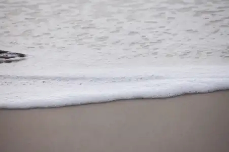 Ecume déposée sur la plage