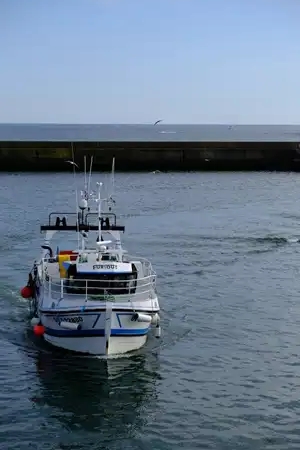 série retour de pêche au port du Guilvinec - 1