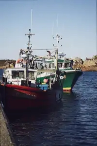 Bateaux de pêche au port de Primel