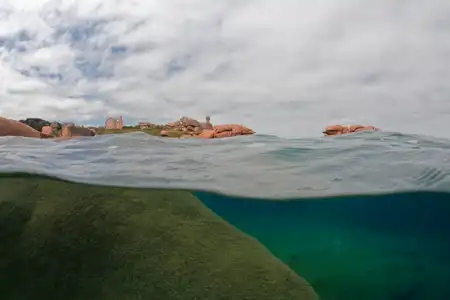 paysage aquatique et sous marin de la côte de granit rose