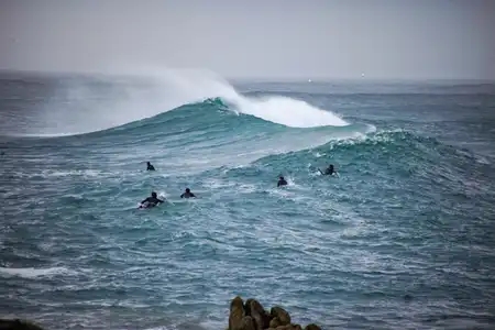 Surfeurs pour une seule vague