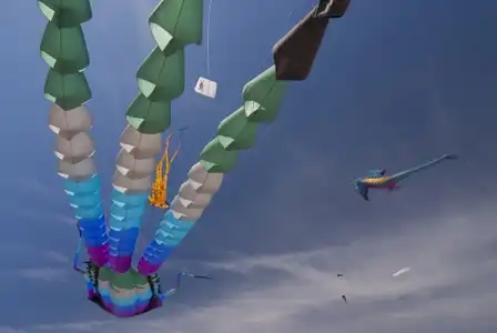 Cerf-volant en forme de pieuvre dans le ciel