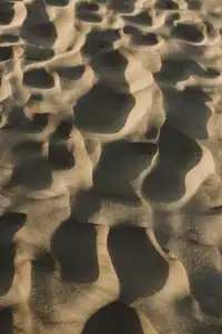 Motifs formés par le vent dans le sable au soleil couchant