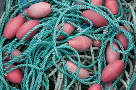 Cordages et flotteurs roses utilisés pour la pêche