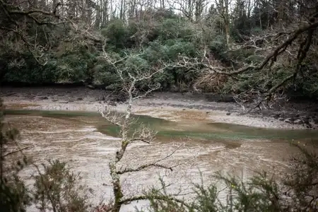 Rivière de l'Odet à Plomelin