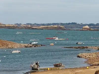 port de Loguivy de la mer avec ses bateaux ostréicoles et ses viviers