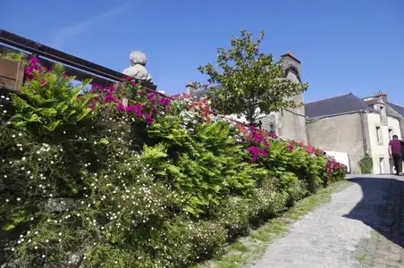 Une rue fleurie de Rochefort-en-Terre