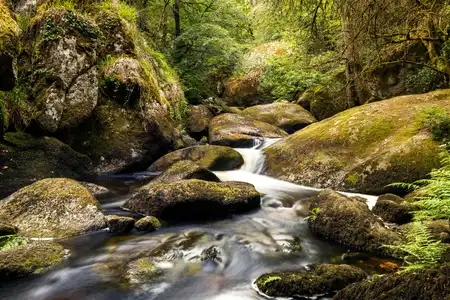 La rivière d'Argent, dans la forêt de Huelgoat en Bretagne