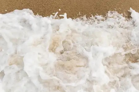 Mousse de vague et sable