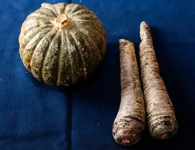 Légumes de saison courge et carottes