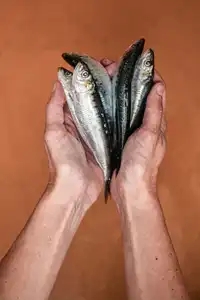 5 sardines au creux des mains