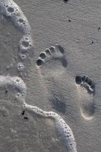 Empreintes de pieds parent-enfant sur le sable