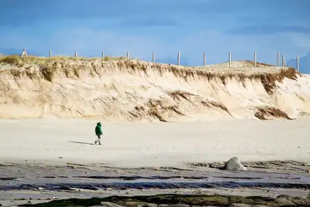 Plage et dune - promeneur