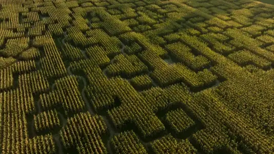 Figures géométriques  dans un labyrinthe végétal