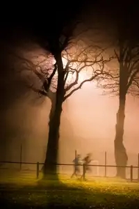 Coureurs dans le brouillard de nuit