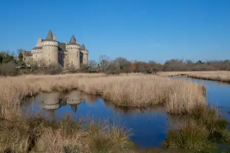 Tours du château de Suscinio se reflétant dans le marais