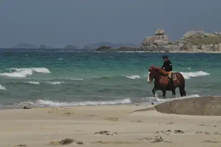 cheval breton jument alezane sur la plage marchant dans la mer bleu turquoise glaz