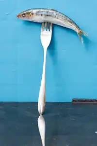 Une partie de sardine sur une fourchette