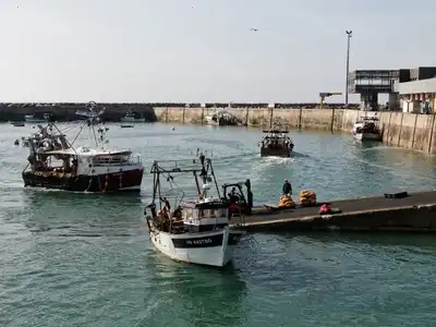 déchargement de la coquille St Jacques sur le port d'Erquy