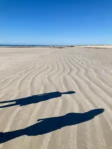 Ombres Chinoises sur le sable