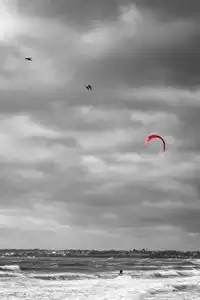 Le kite et le goeland