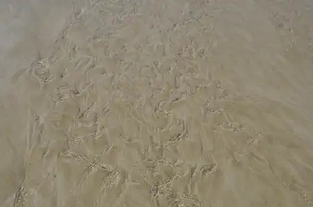 Fond de sable à marée descendante