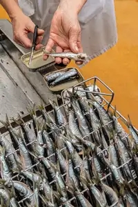 Equeutage de sardine