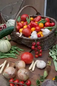 Panier de légumes de saison