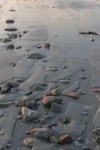 Des galets et la mer dessinent des motifs à marée basse au coucher du soleil