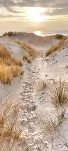 Les dunes de Treguennec, Finistère