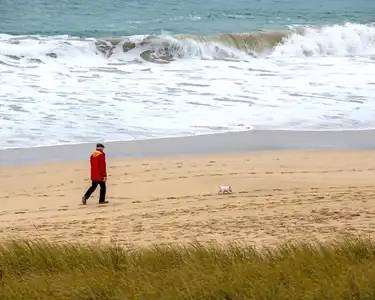 Sénior se promenant avec son chien sur la plage