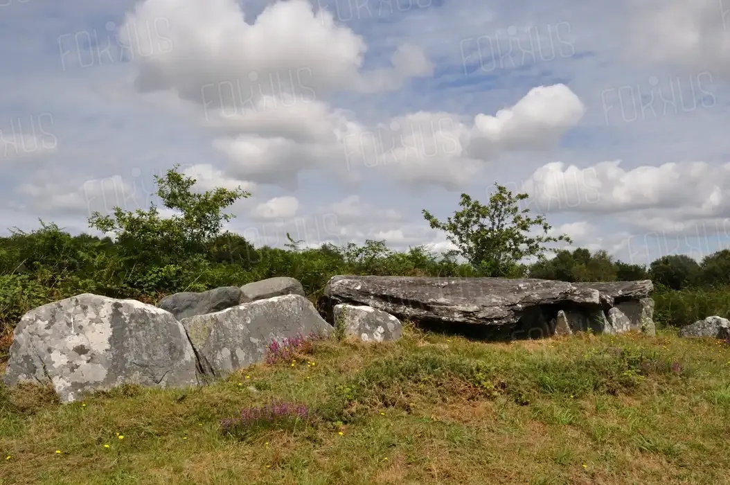 Mégalithes, allée couverte sur les landes de Liscuis Gouarec