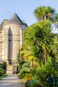 la Bretagne est exotique , jardin de la retraite à Quimper