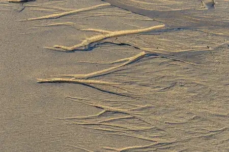 traces dans le sable