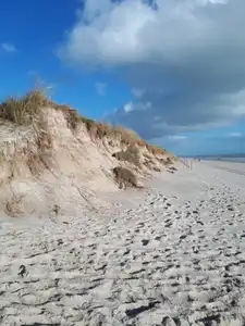 Erosion dunaire sur le littoral fouesnantais en Bretagne