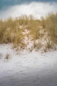 Les dunes de Frehel sous la neige