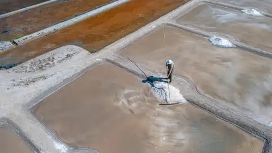 Vue aérienne d'un paludier travaillant à la récolte du sel dans les marais salants de Guérande.